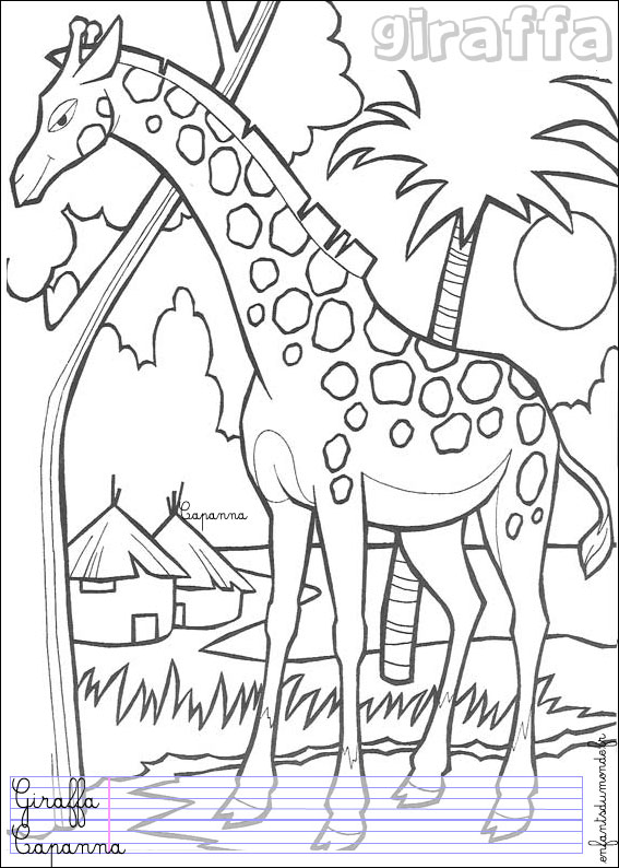 coloriage girafe 1